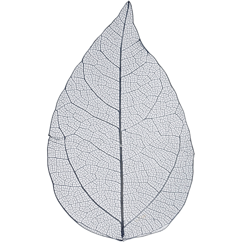 Skeleton Leaves, L: 6-8 cm, blue, 20 pc