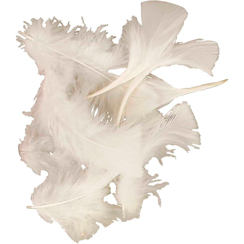 Down, size 7-8 cm, ca. 375 pc, white, 50 g