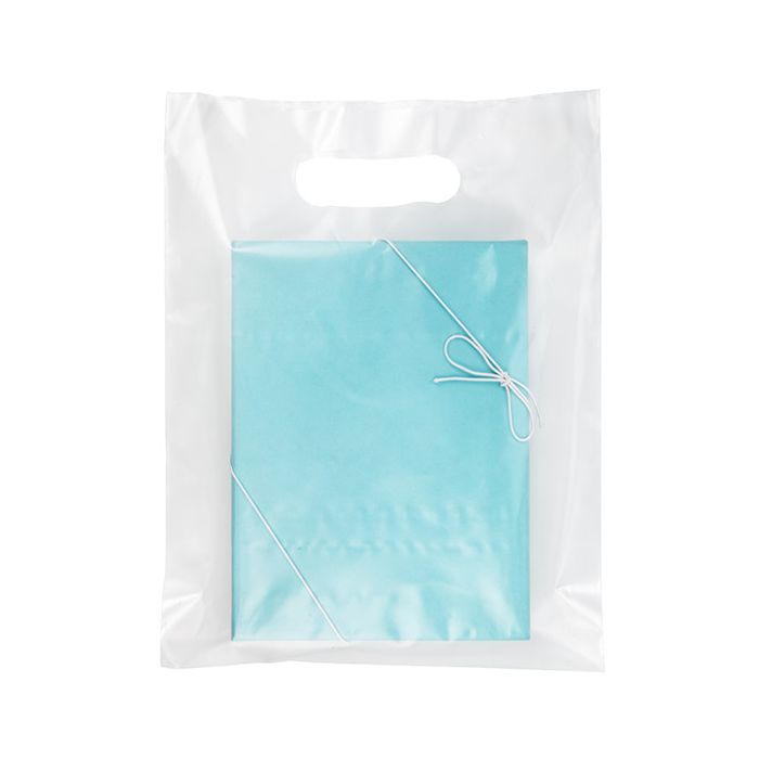 Handle Bag Frosted 2.25 Mil, 20% Recycled Content 22,9x30,5cm