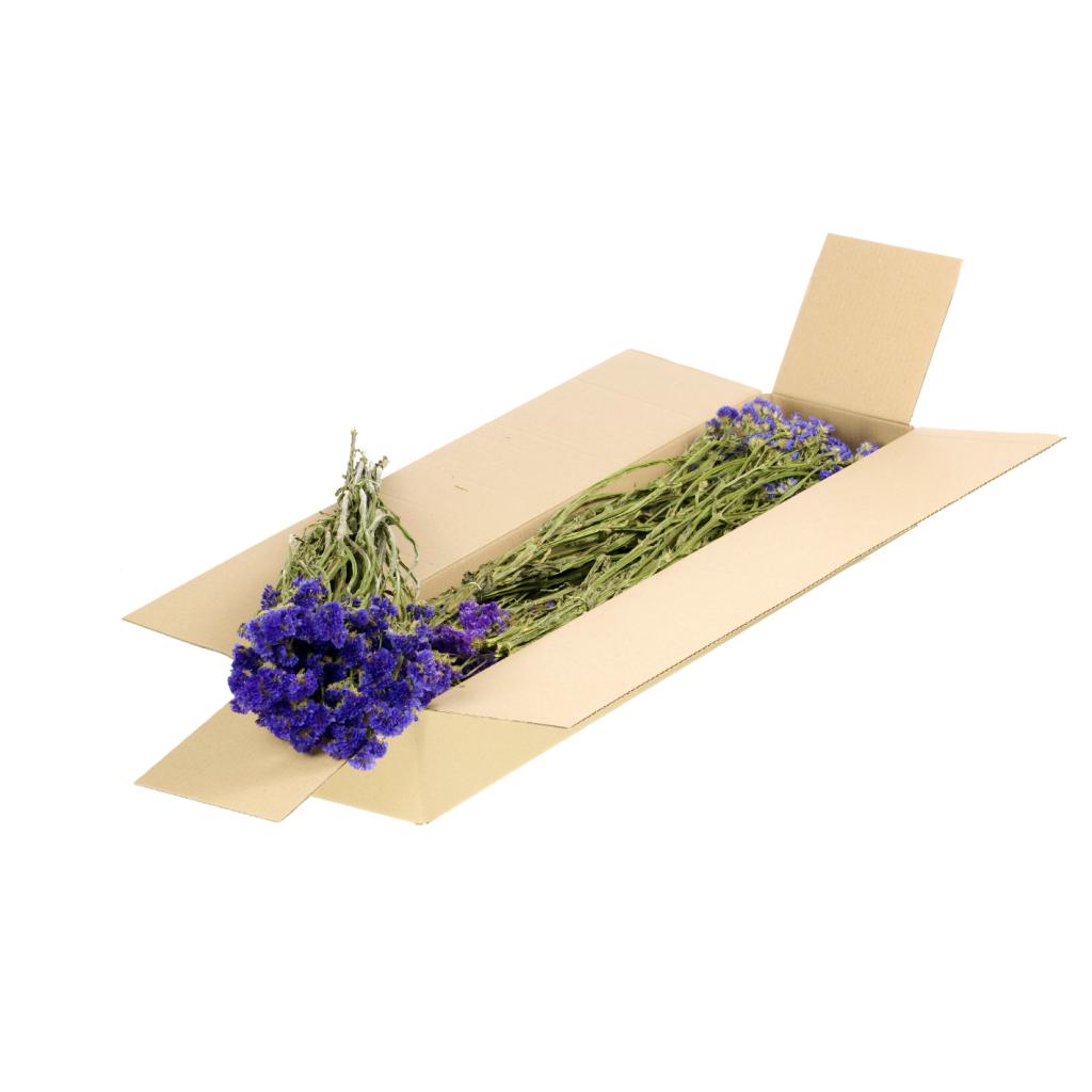 Dried Flowers Natural Blue Statice sinuata (1 Bundle)