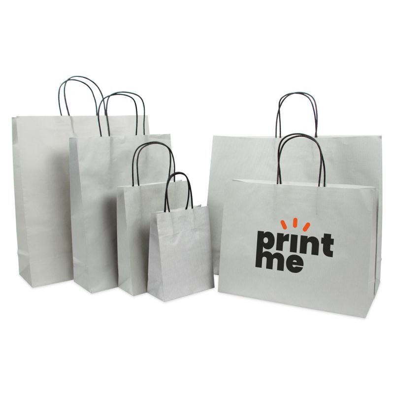 Paper Carrier Bags Silver 14+7x19cm Twisted Handles + Cardboard Base (250 pcs) [FP-007019]