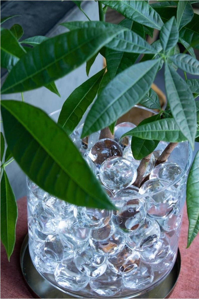 Big water balls 20 Pcs dia 40-50 mm (1 box) [IFS-10325]