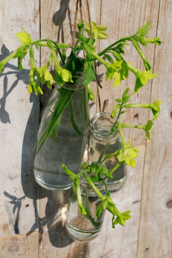 Glass Milk Bottle 250ml 14cm tall Ø 6cm (tray with 24 pcs) [IFS-129191]