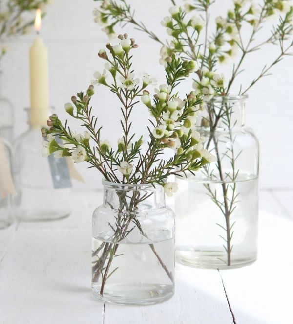 Glass Medicine Vase 10cm tall Ø 7cm (tray with 24 pcs) [IFS-129194]