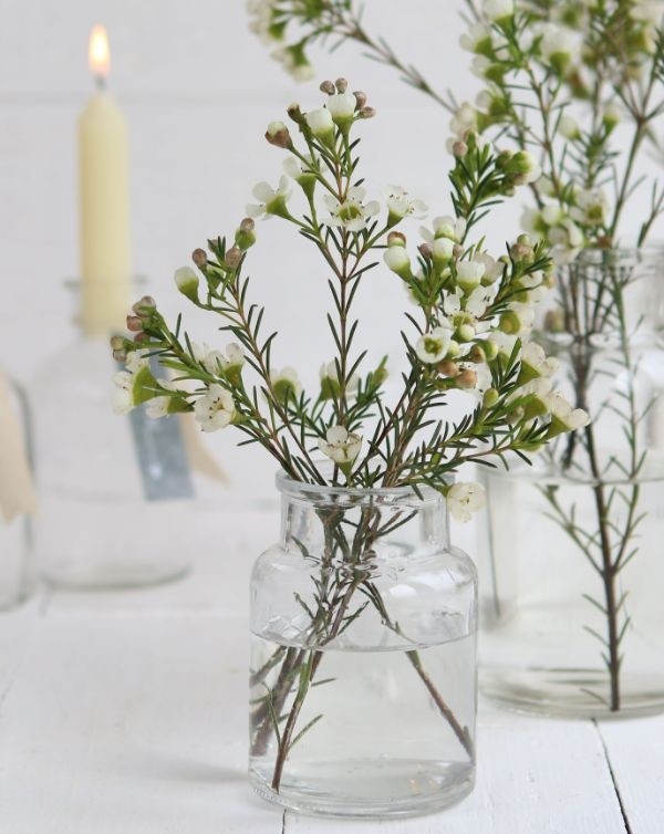 Glass Medicine Vase 10cm tall Ø 7cm (tray with 24 pcs) [IFS-129194]