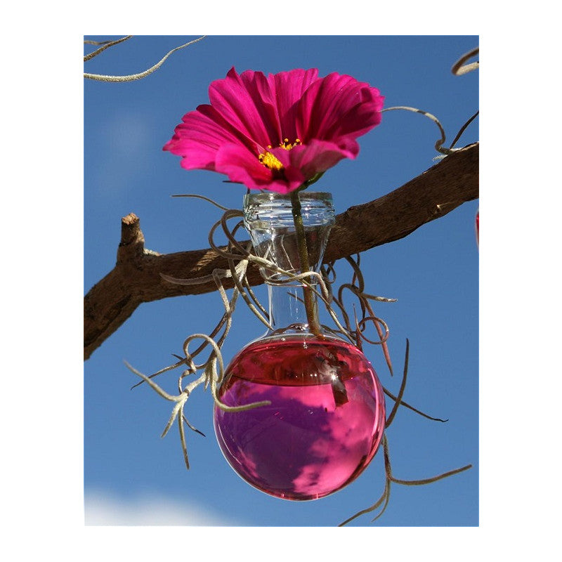 Ball Vase Ø5cm x 15,9cm (53 pcs) [IFS-28011]