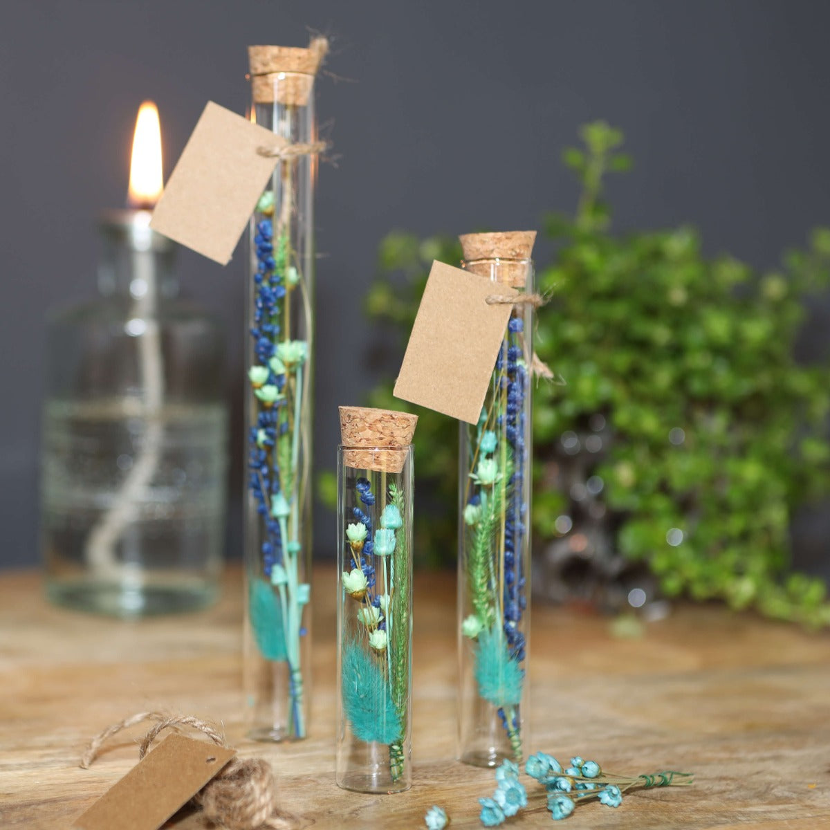 Glass tube Ø2cm and 19cm high (12 pcs.) [IFS-29108]