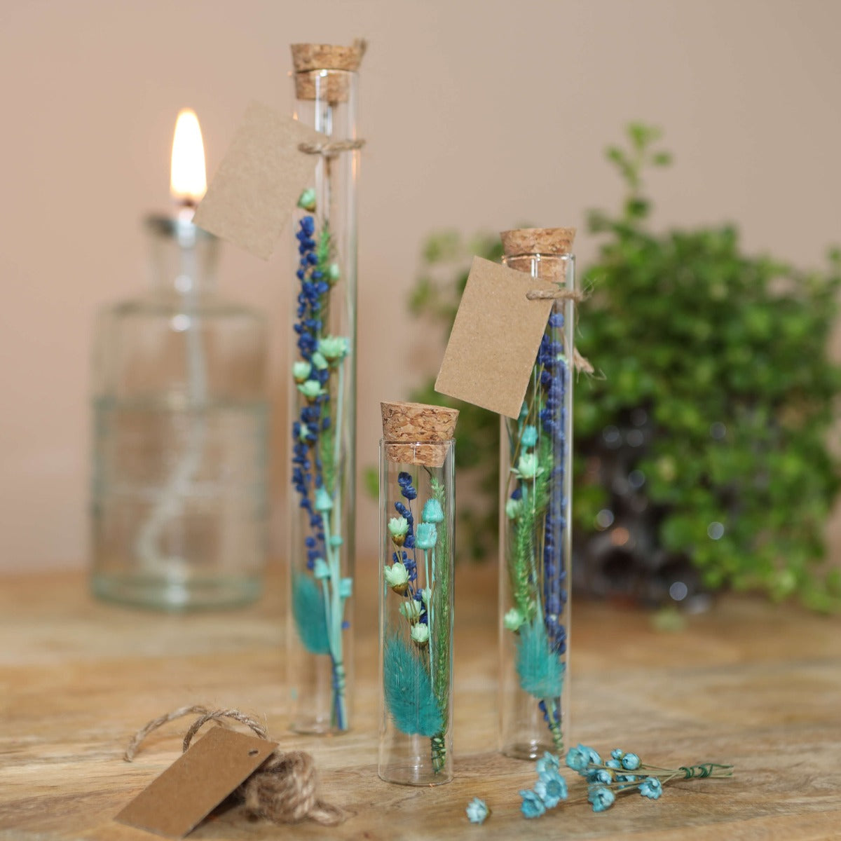 Glass tube Ø2cm and 19cm high (12 pcs.) [IFS-29108]