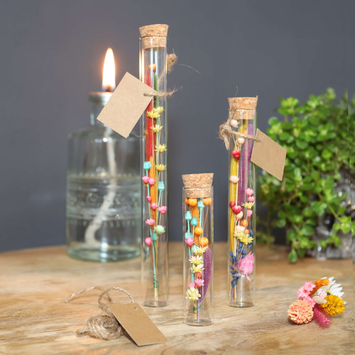 Glass tube Ø2cm and 19cm high (12 pcs.) [IFS-29108]