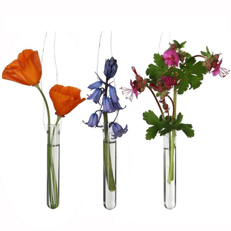 Test Tube w.2 Holes Ø1.5 h.10cm (12 pcs) [IFS-29111]