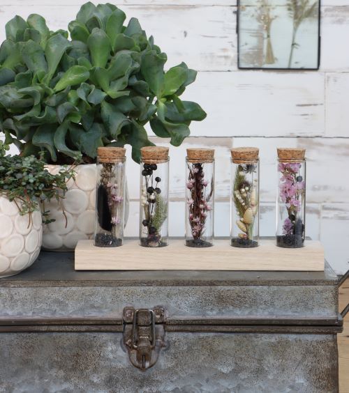 Glass tubes Ø3cm 5 tubes on wooden board (6 sets) [IFS-29147]