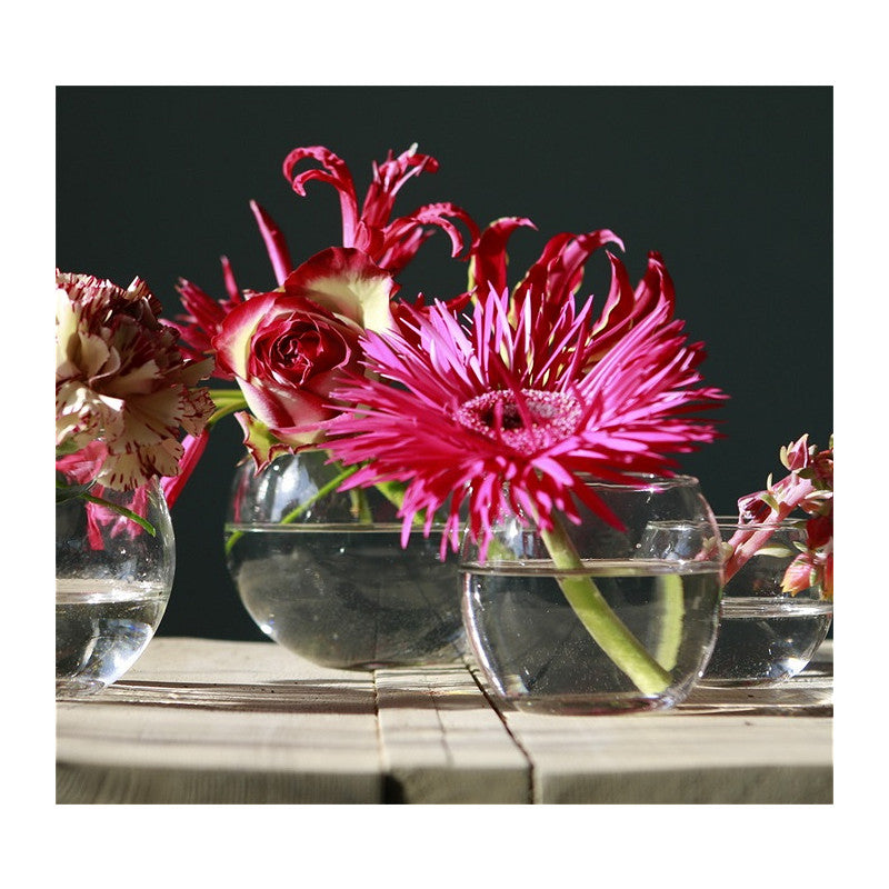 Glass Ball Pot Ø8 h.7cm (12 pcs) [IFS-29181]