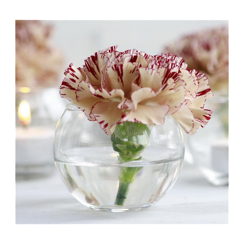 Glass Ball Pot Ø10 h.8cm (6 pcs) [IFS-29182]