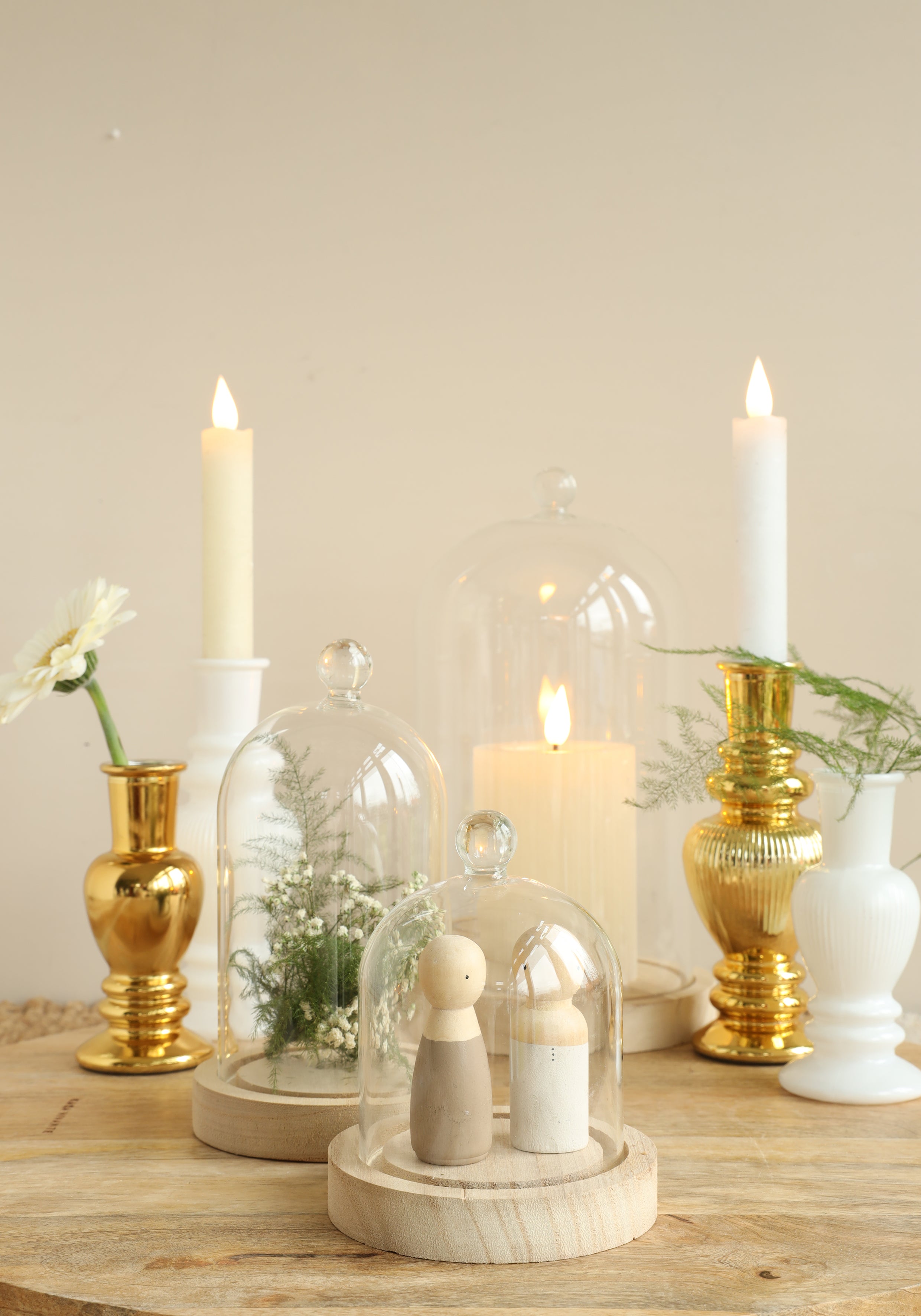 Glass dome with knob and wood base Ø14 h.23,5 cm (1 pc) [IFS-29314]