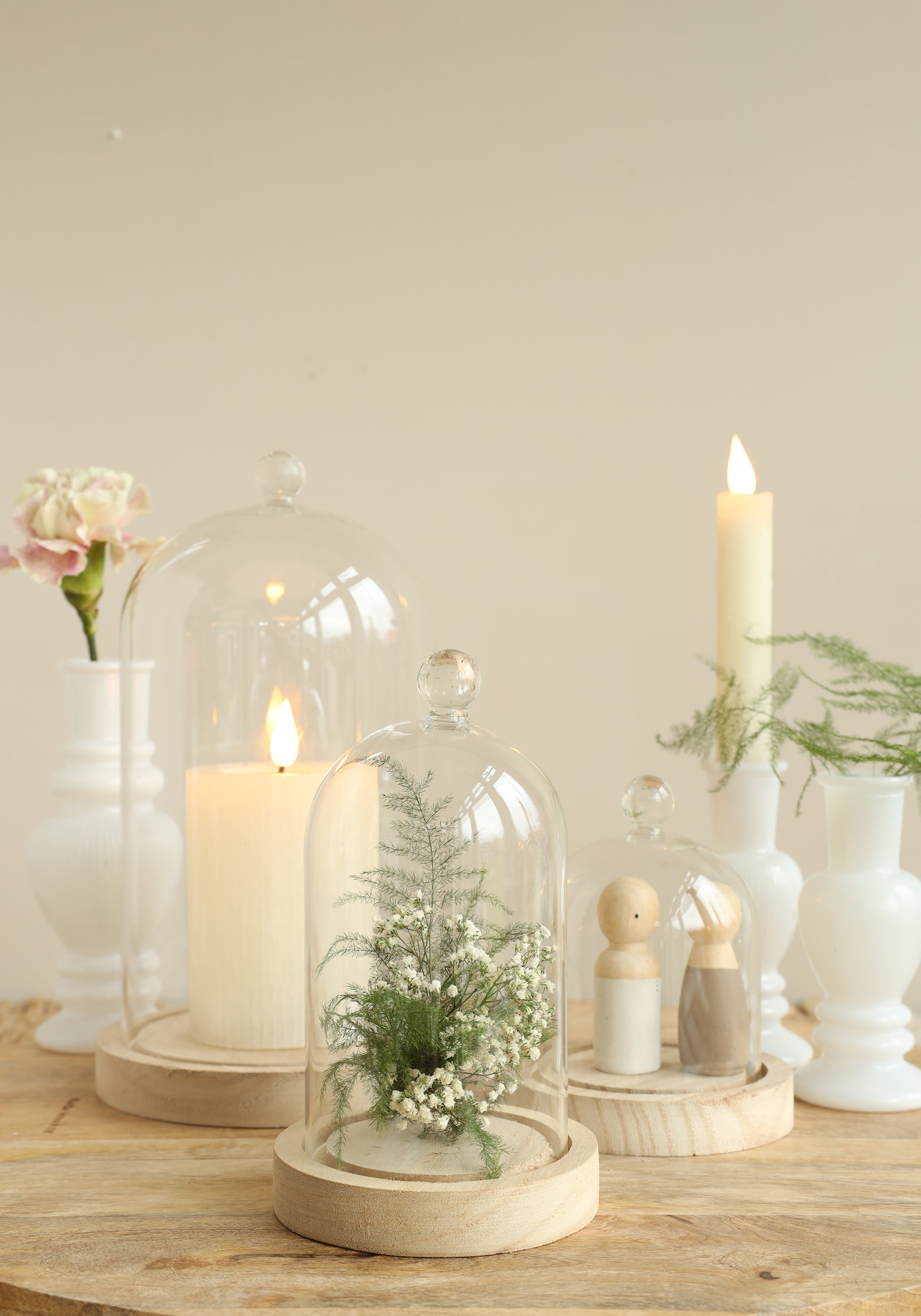 Glass dome with knob and wood base Ø14 h.23,5 cm (1 pc) [IFS-29314]