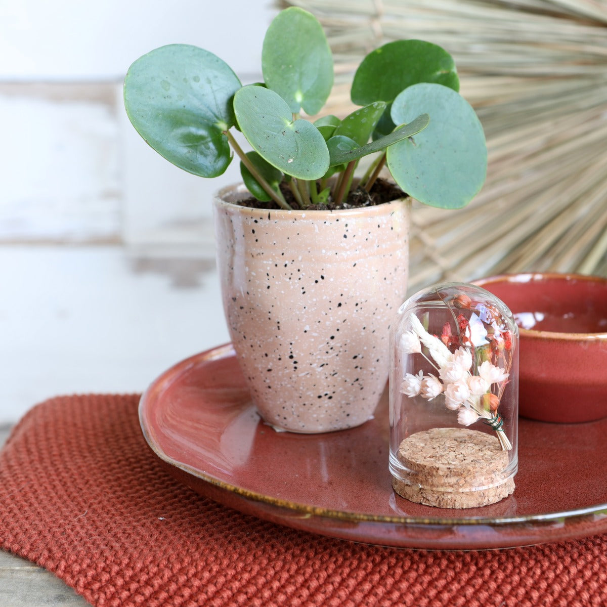 Glass mini stolp Ø4cm and 6cm high with cork (6 pcs.) [IFS-29410]