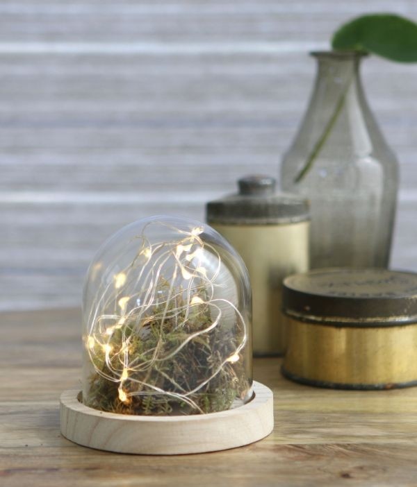 Glass Dome with Wooden Base Ø10cm and 10 cm tall (1 pc) [IFS-29421]