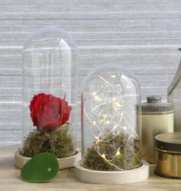 Glass Dome with Wooden Base Ø10cm and 20 cm tall (1 pc) [IFS-29429]