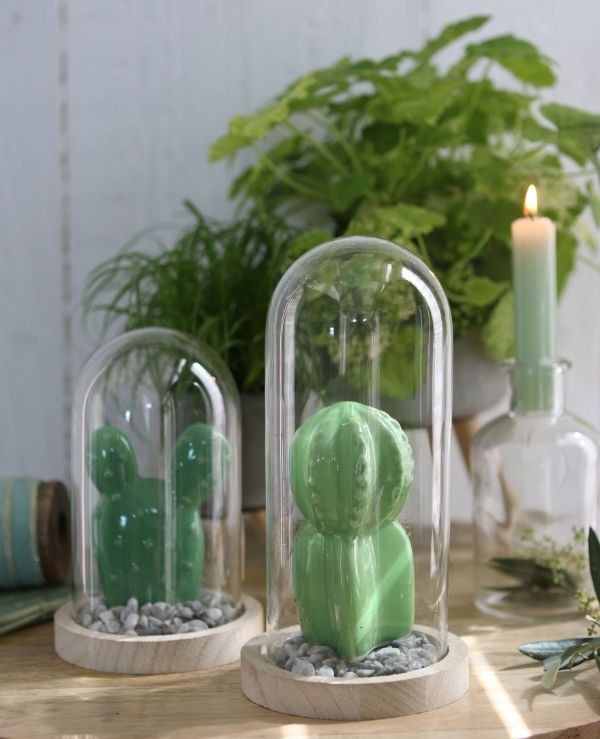 Glass Dome with Wooden Base Ø10cm and 20 cm tall (1 pc) [IFS-29429]