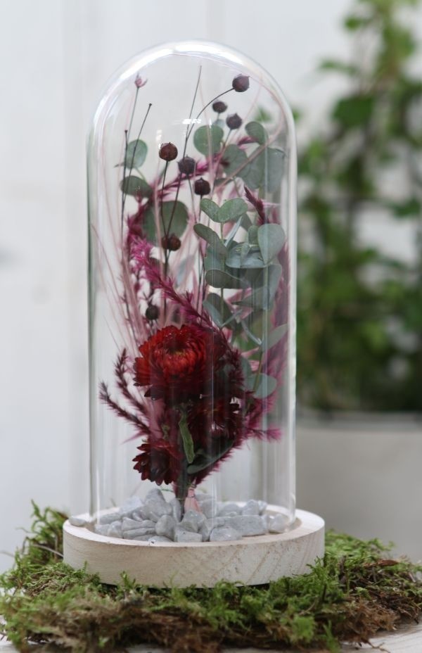 Glass Dome with Wooden Base Ø10cm and 20 cm tall (1 pc) [IFS-29429]