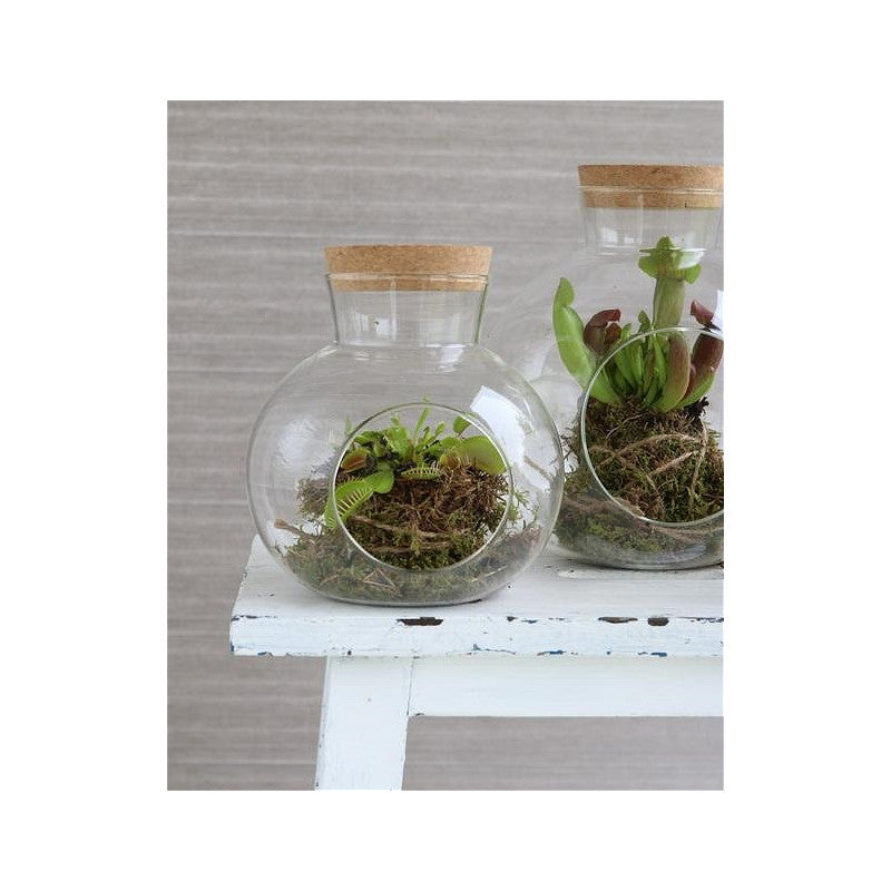Glass Sphere with Cork Ø14 h.15 cm (1 pcs) [IFS-29438]