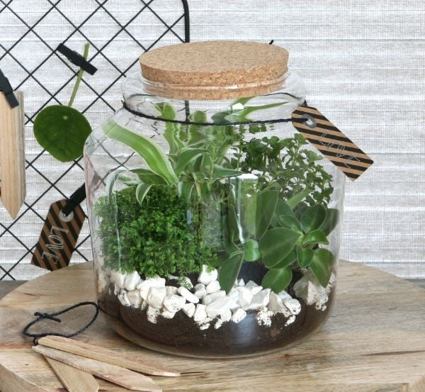 Glass Jar with Cork Ø18cm and 18 cm tall (1 pc) [IFS-29452]