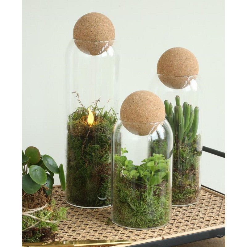Glass Terrarium Sienna Ø8,5 h.24 cm (6 pcs) [IFS-29715]