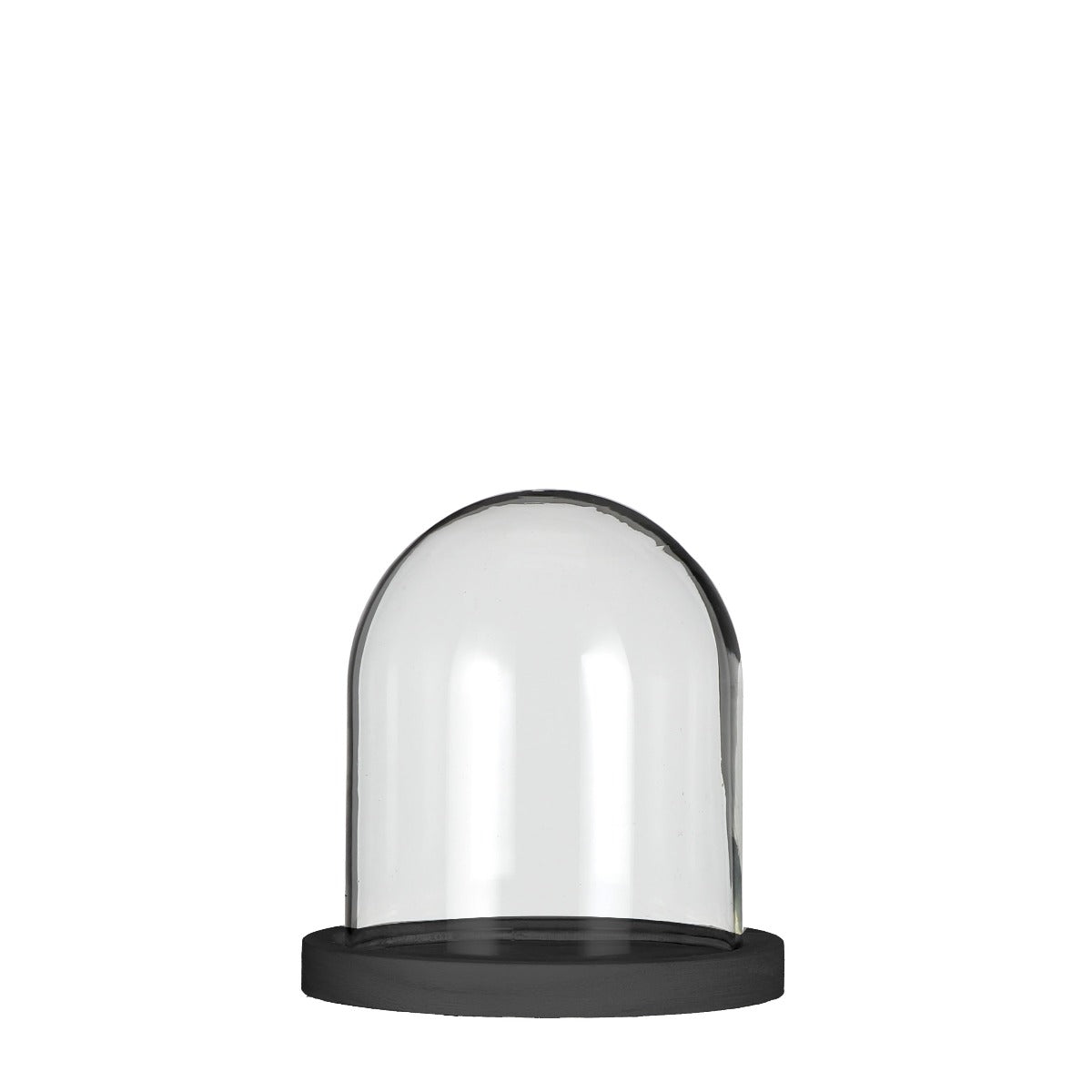 Glass bell jar with black wooden base Ø12cm H: 13cm (1 pcs.)