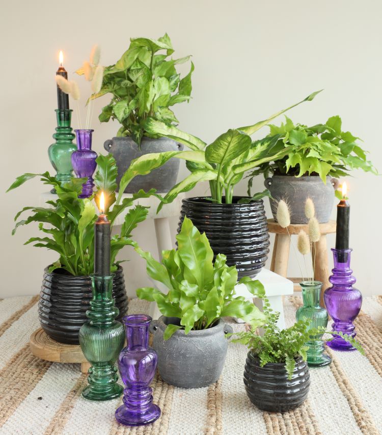 Vase Venice Green H: 15,5 x Ø5,7 cm (12 Pcs) [IFS-29895]