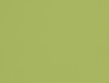 Card, A4, sheet 210x297 mm, 180 g, light green, 100 sheet/ 1 pack [HOB-21722]