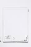 Card, A4, sheet 210x297 mm, 220 g, white, 10 pc/ 1 pack [HOB-219111]