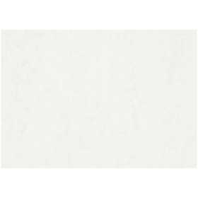Watercolour Paper, A2, sheet 420x594 mm, 200 g, white, 100 sheet/ 1 pack [HOB-22404]