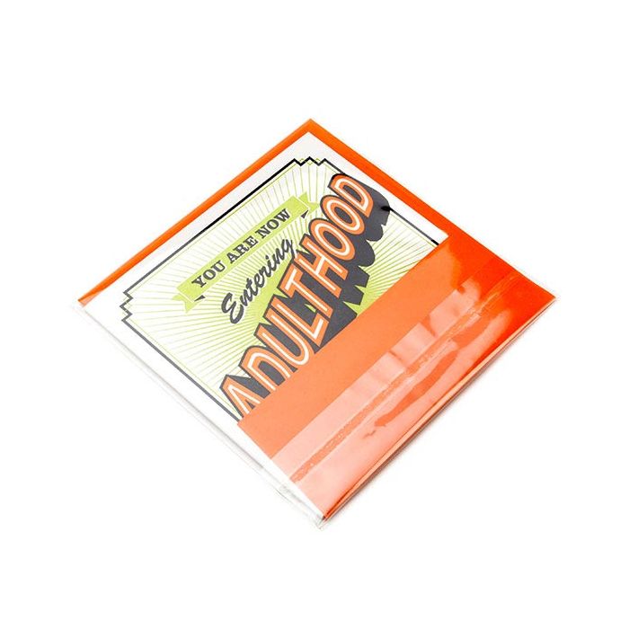 Plastic Bags 12x12 cm Transparent and reclosable (100 pcs) [KO-301212]