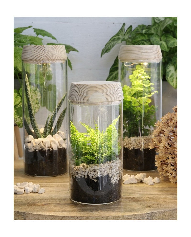 Test tube Ø8 h: 18 cm w. solar cork lid (1 pc) [IFS-30173]