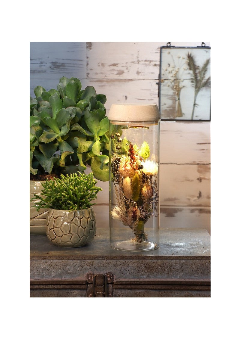 Test tube Ø8 h: 23 cm w. solar cork lid (1 pc) [IFS-30174]