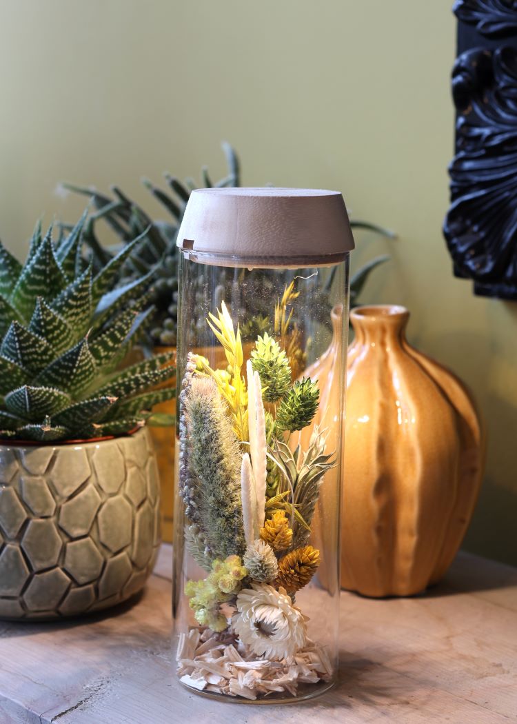 Glass cylinder with LED in wooden lid 23cm high (1 pcs.) [IFS-30181]