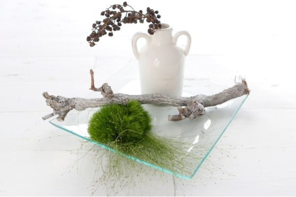 Glass Plate Square 25x25x2cm thick (1 pc) [IFS-30264]