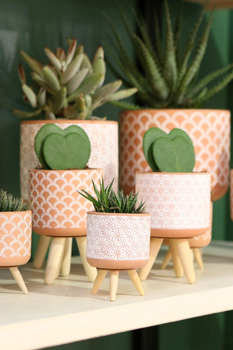 Plant pot Terra cement with wooden legs 11cm high (6 pcs.) [IFS-33002]