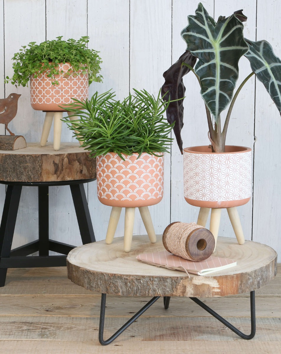 Plant pot Terra cement with wooden legs 18cm high (6 pcs.) [IFS-33004]