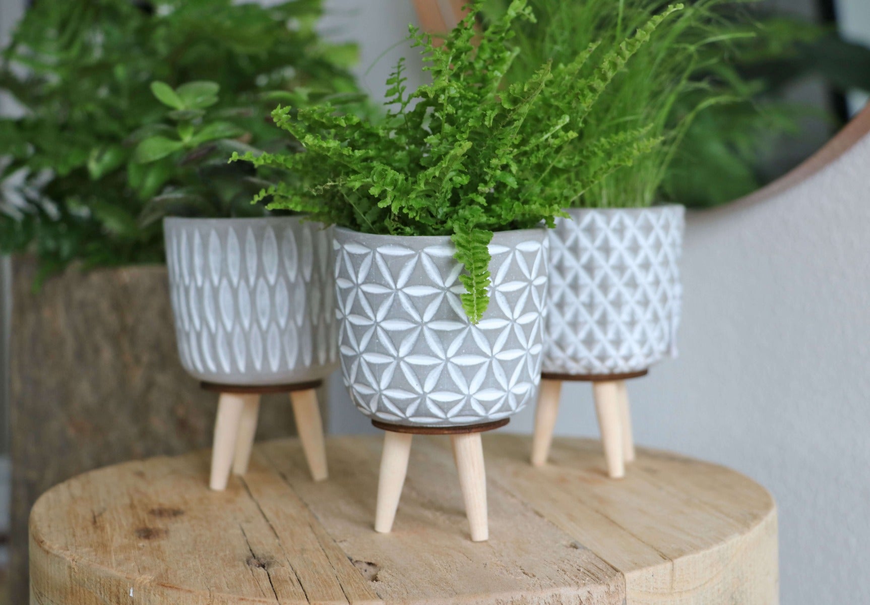 Plant pot Cement with wooden legs 11cm high (6 pcs.) [IFS-33012]