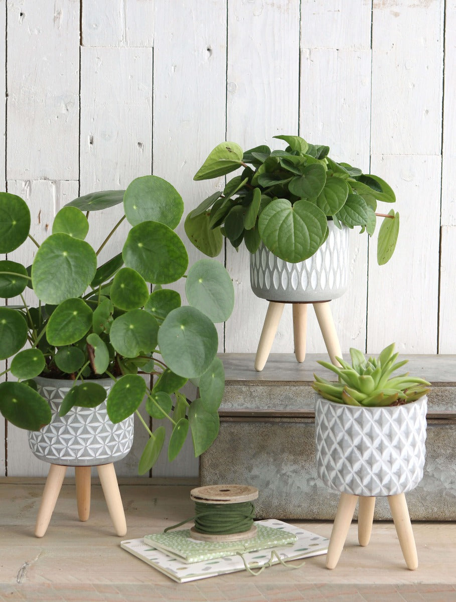 Plant pot Cement with wooden legs 18cm high (6 pcs.) [IFS-33014]