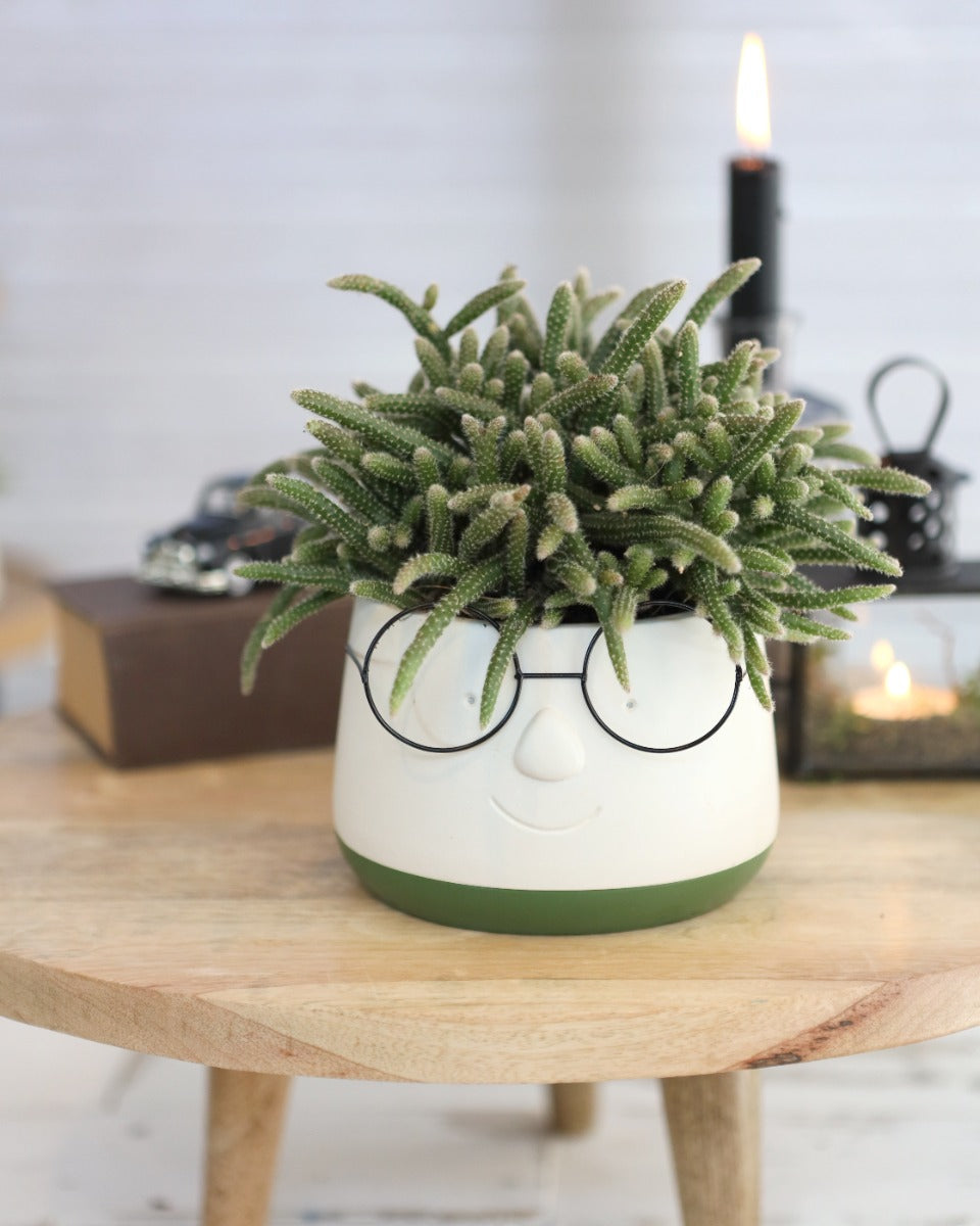 Pot with glasses Ø13,5 h: 10,5 cm (6 Pcs) [IFS-33094]
