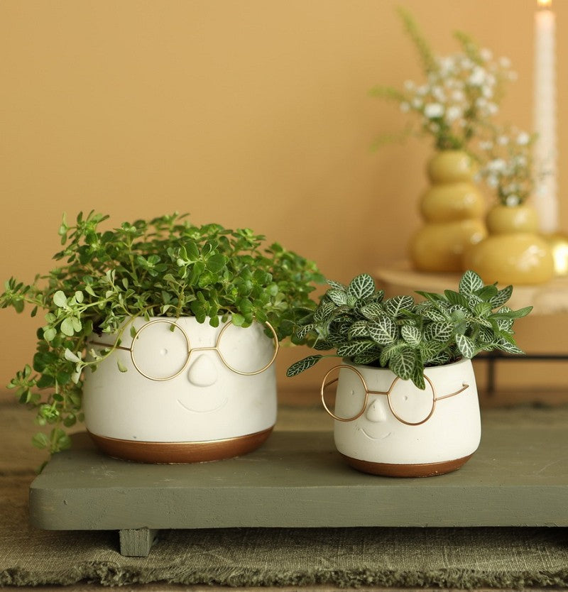 Pot with glasses Gold Ø8,5 h: 6,5 cm (6 Pcs) [IFS-33096]