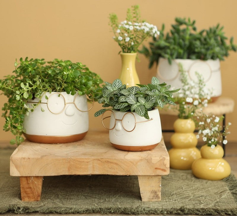 Pot with glasses Gold Ø12 h: 9 cm (6 Pcs) [IFS-33097]