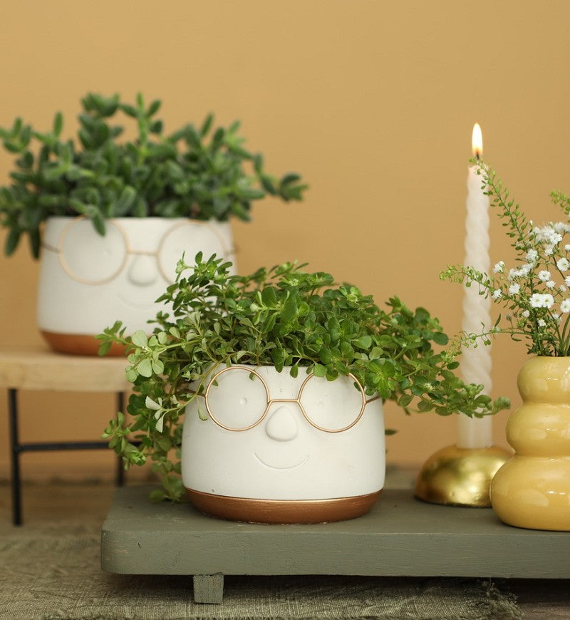 Pot with glasses Gold Ø12 h: 9 cm (6 Pcs) [IFS-33097]