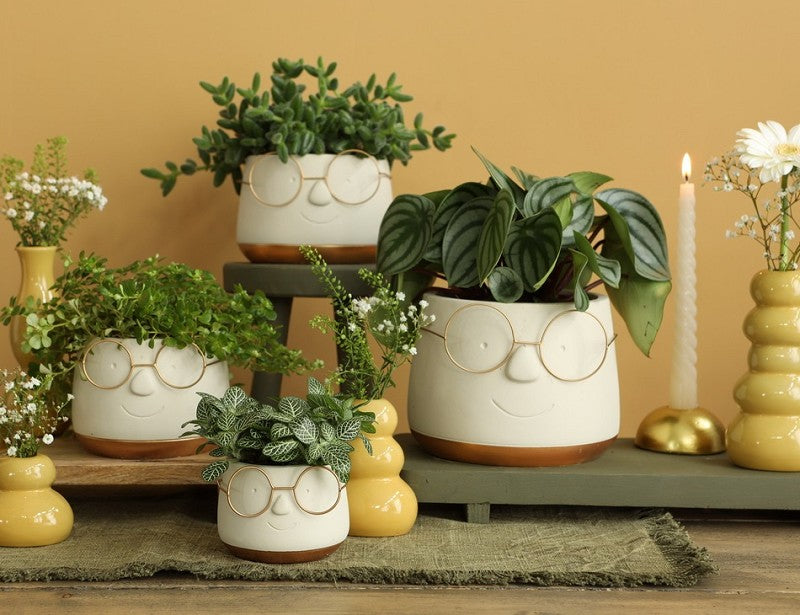 Pot with glasses Gold Ø13,5 h: 10,5 cm (6 Pcs) [IFS-33098]