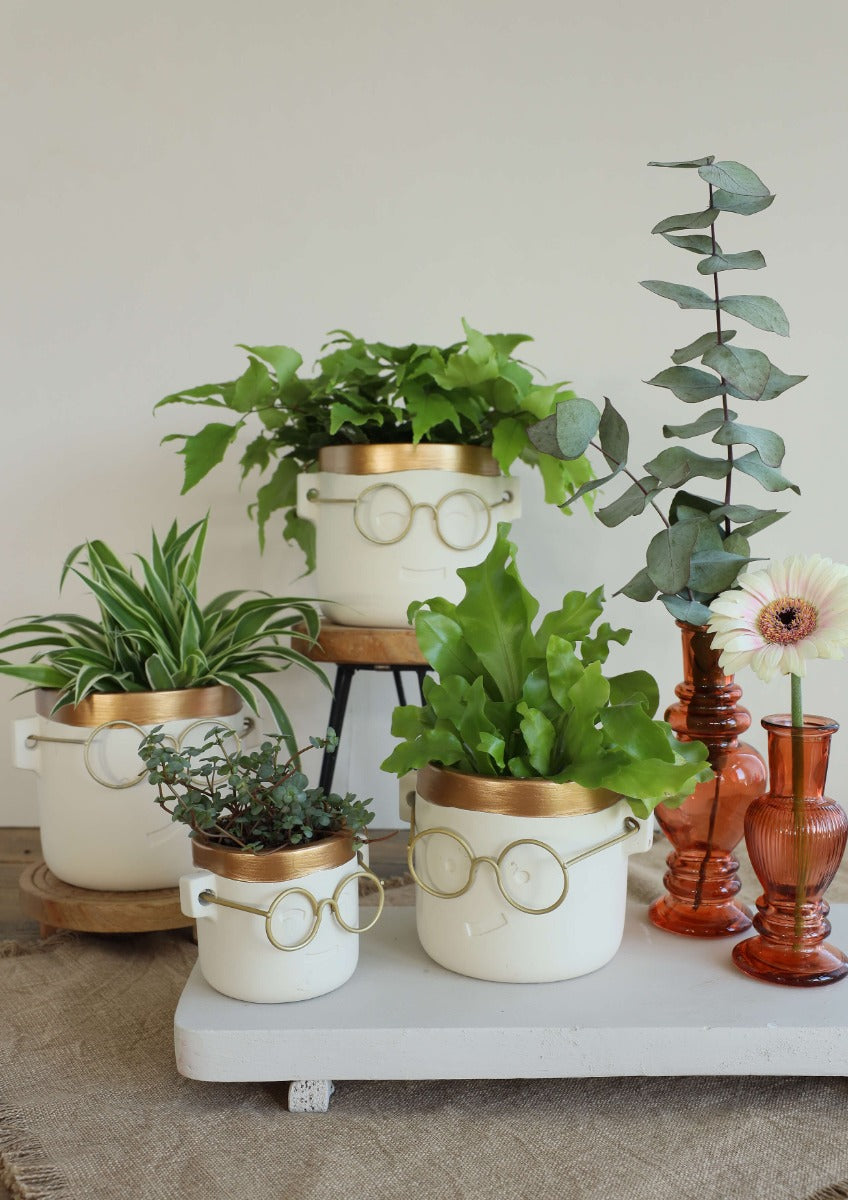 Plant pot with glasses Gold 2 ass. Ø7,5 h:7 cm (6 Pcs) [IFS-33182]