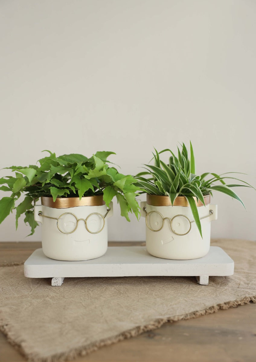 Plant pot with glasses Gold 2 ass. Ø12 h:11,5 cm (6 Pcs) [IFS-33184]