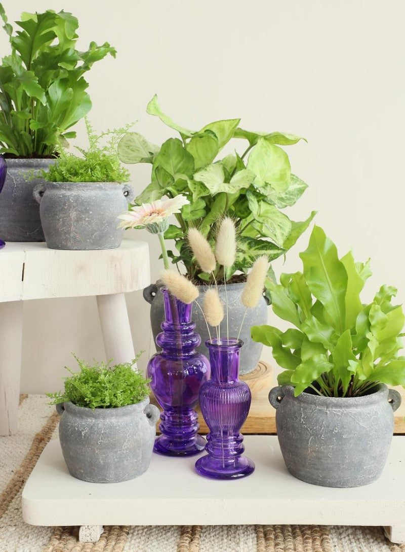 Amphora pot 10x8,2x6,5 cm (6 Pcs) [IFS-33242]