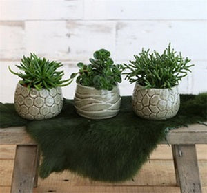 Plant pot Mila craquele glaze Green 7cm high (9 pcs.) [IFS-33505]